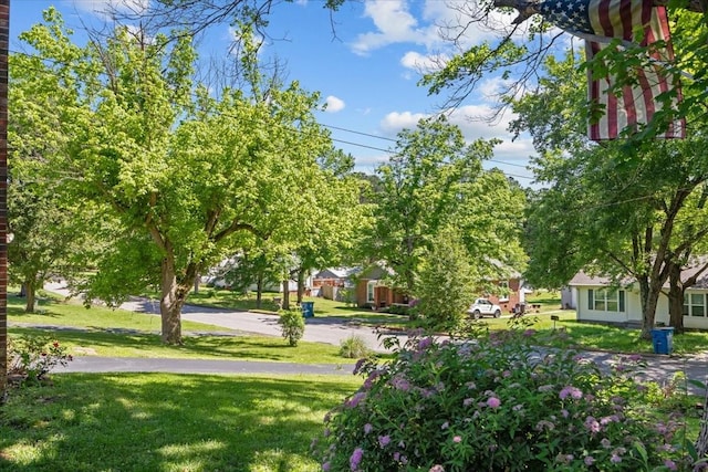 134 N Forrest Ave, Camden, TN 38320 - surrounding community with a yard
