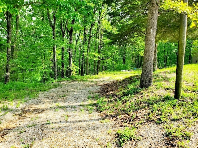view of street with a wooded view