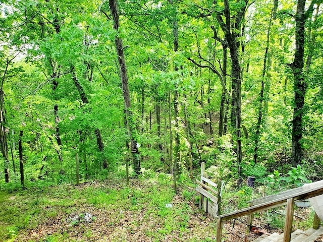 view of local wilderness with a forest view