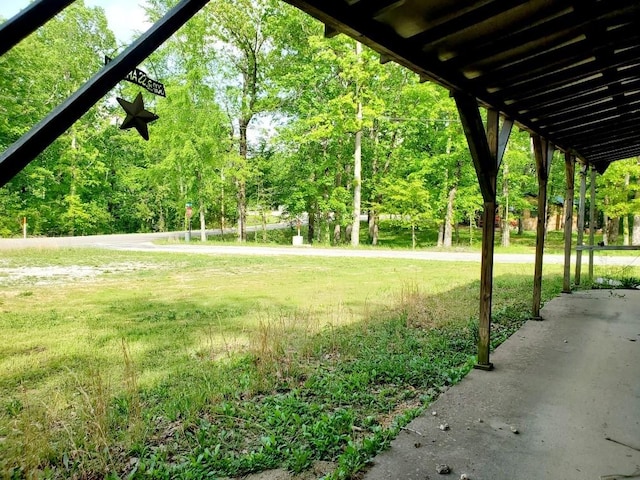 view of community with a yard