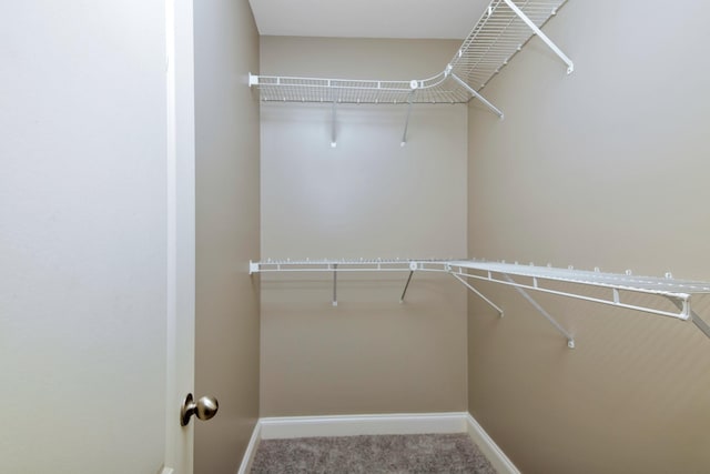 spacious closet with carpet floors