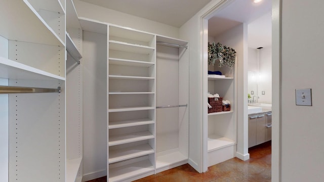 view of spacious closet