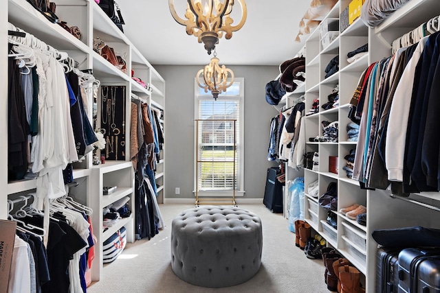 walk in closet with a notable chandelier and carpet