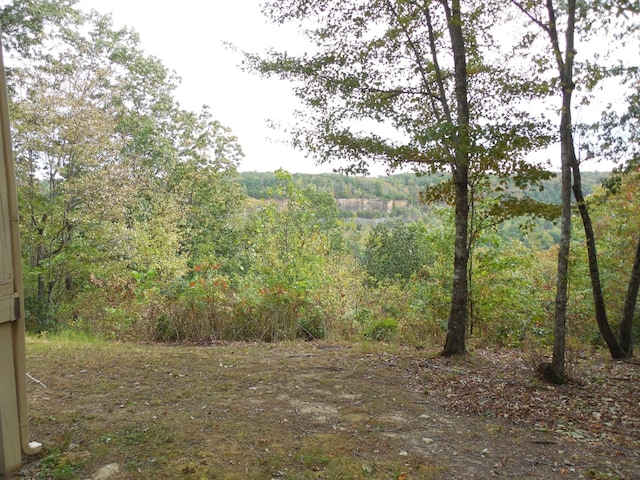 view of nature with a view of trees