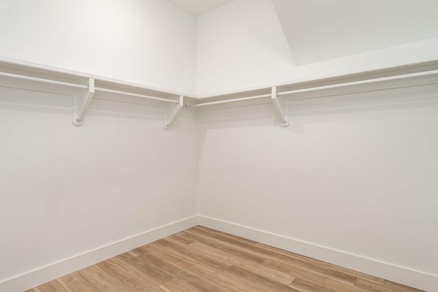 walk in closet with light wood-type flooring