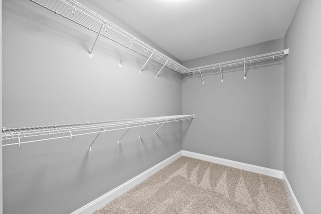 spacious closet with carpet flooring