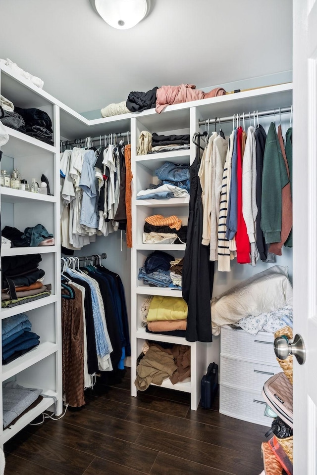 spacious closet featuring wood finished floors