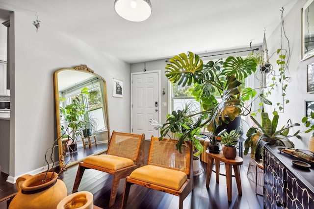 living area featuring hardwood / wood-style floors and baseboards