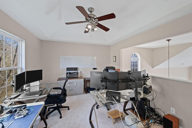 carpeted office space featuring a tray ceiling and ceiling fan