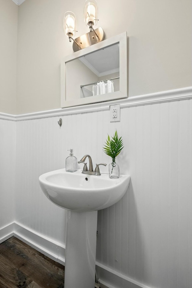 bathroom featuring a wainscoted wall, wood finished floors, and a sink