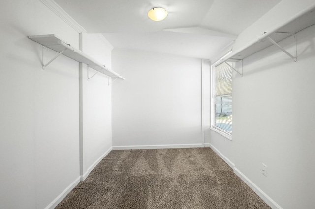 spacious closet with carpet floors