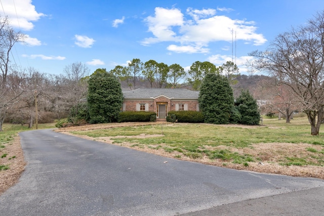 view of front of home featuring brick siding and a front lawn