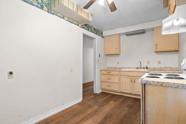 kitchen featuring under cabinet range hood, dark wood finished floors, light brown cabinetry, light countertops, and a sink