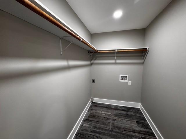 spacious closet featuring dark wood-style flooring