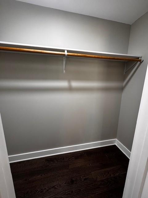 spacious closet with dark wood-style floors