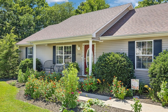 view of front facade with covered porch and a shingled roof