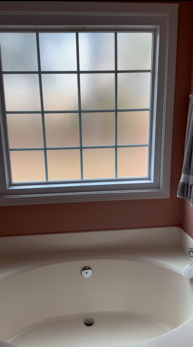 bathroom featuring a healthy amount of sunlight and a bath