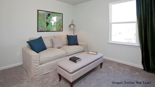 living area with baseboards and carpet floors