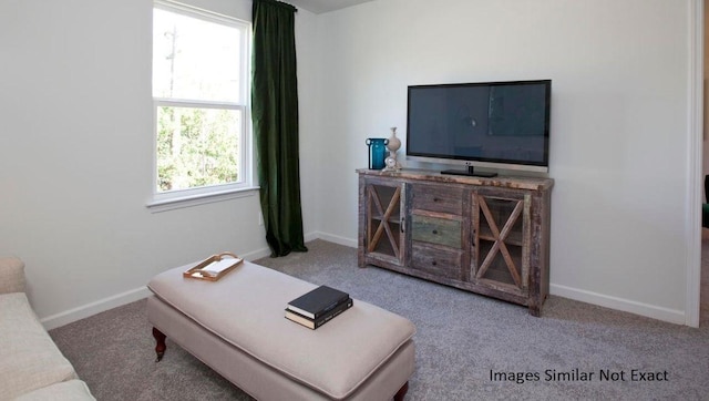 living area with carpet and baseboards