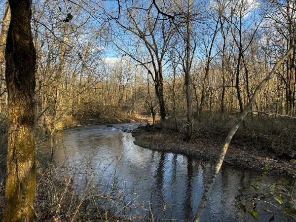 property view of water featuring a view of trees