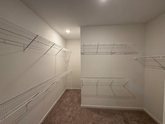 walk in closet featuring carpet