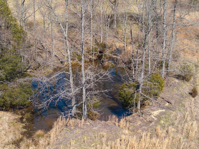 view of landscape featuring a wooded view