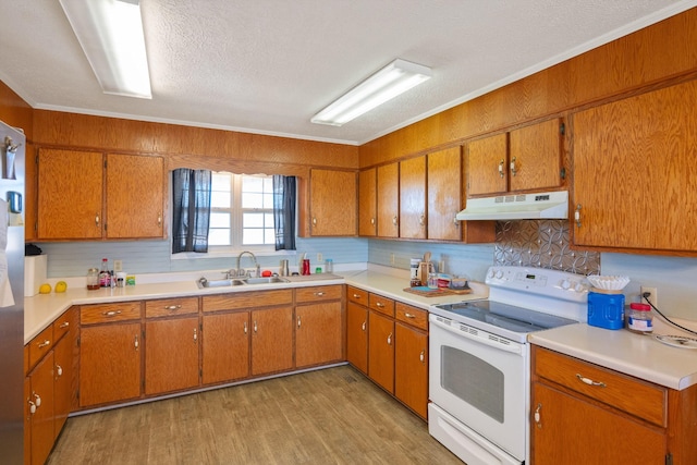 kitchen featuring electric range, brown cabinets, under cabinet range hood, a sink, and light countertops