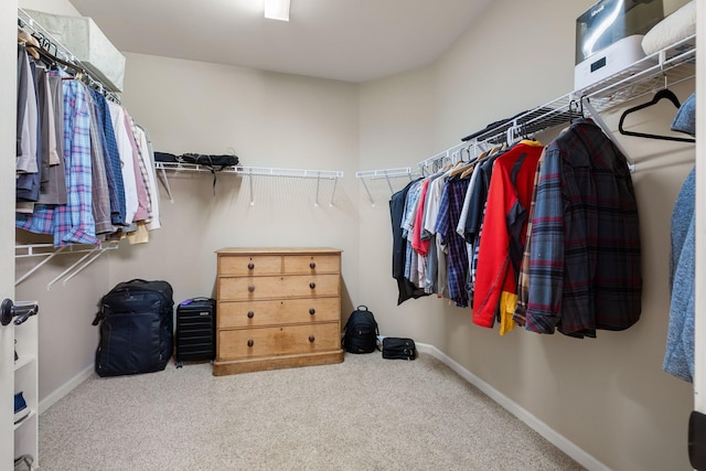 spacious closet with carpet flooring