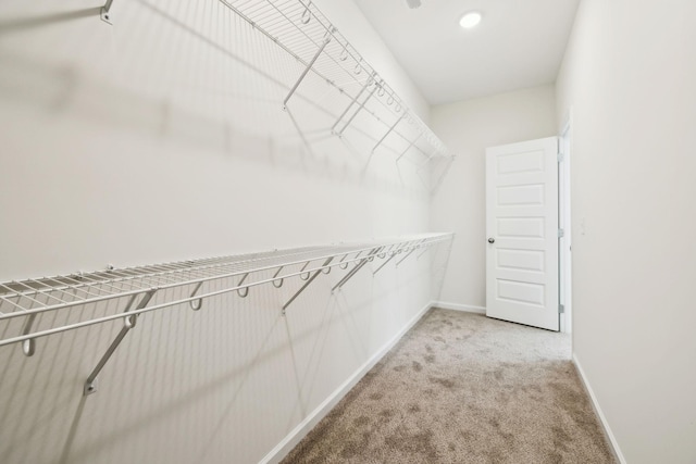 spacious closet featuring carpet