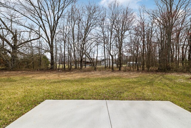 view of yard featuring a patio