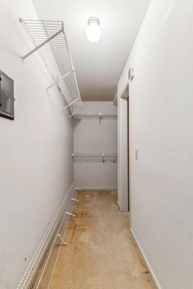 walk in closet with light carpet