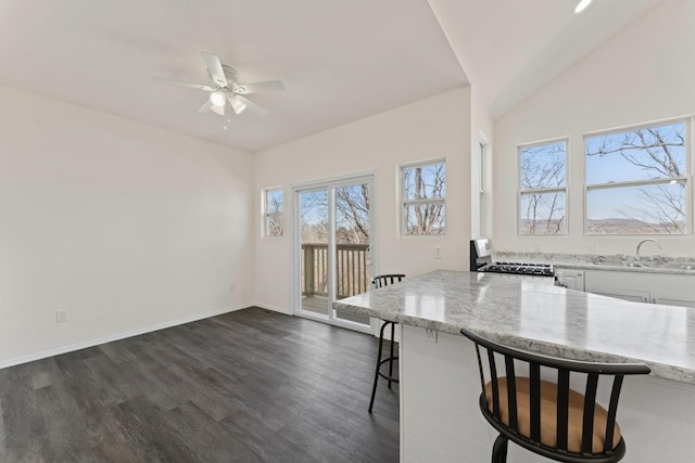 kitchen with a kitchen bar, a sink, dark wood-style floors, range with gas cooktop, and light stone countertops