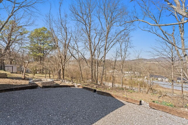 view of yard featuring a garden