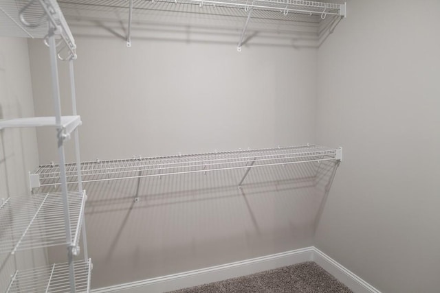 walk in closet with carpet