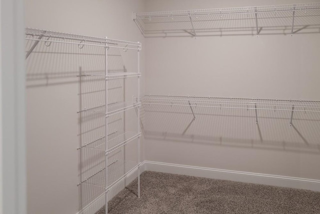 spacious closet with carpet