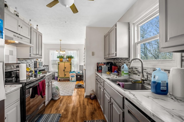 kitchen with gray cabinetry, a sink, dark wood-style floors, black / electric stove, and light countertops