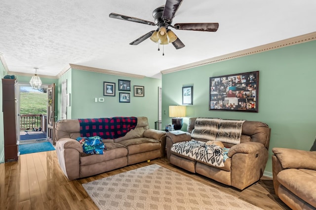 living room featuring ceiling fan, ornamental molding, wood finished floors, and a textured ceiling