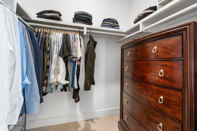 spacious closet featuring carpet flooring