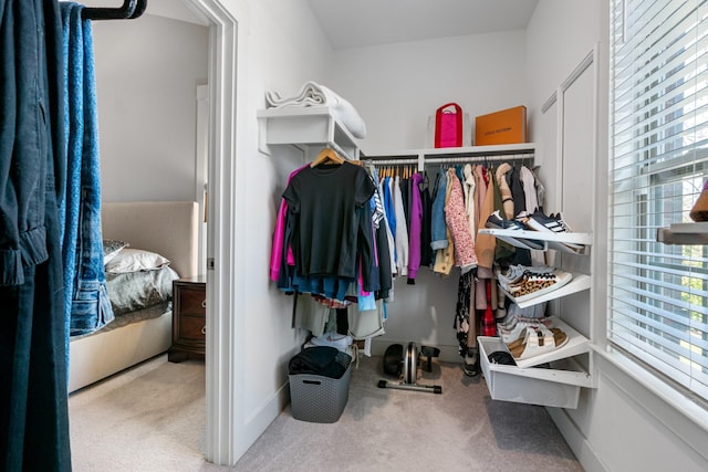 walk in closet featuring carpet flooring