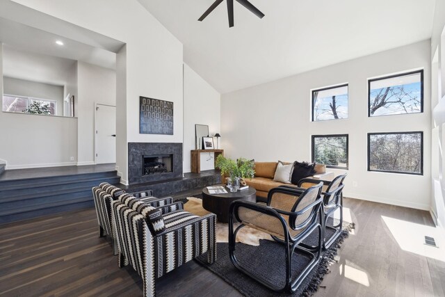 living room with dark wood finished floors, a premium fireplace, a healthy amount of sunlight, and high vaulted ceiling