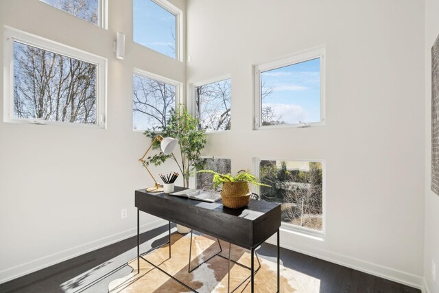 office space featuring a high ceiling, baseboards, and wood finished floors