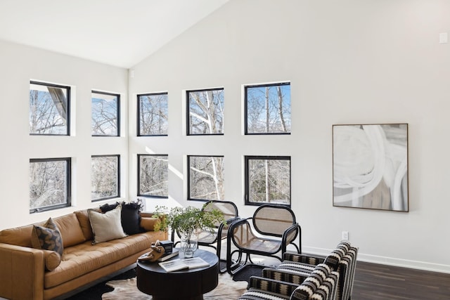 living area featuring baseboards, high vaulted ceiling, and dark wood-style flooring