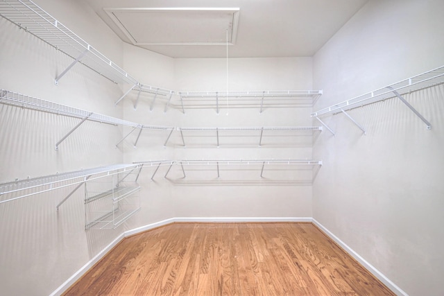 spacious closet with attic access and wood finished floors