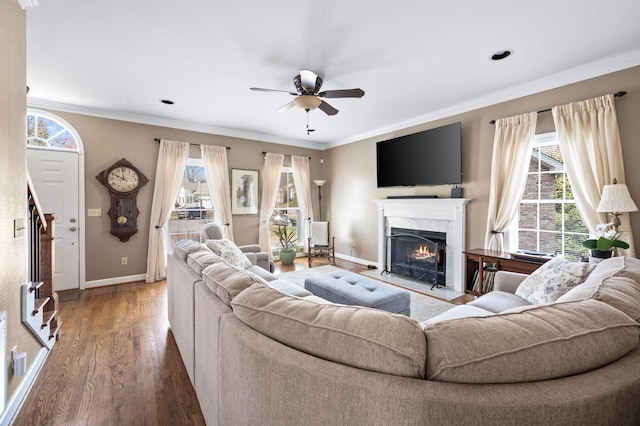 living room featuring ceiling fan, wood finished floors, a high end fireplace, and ornamental molding