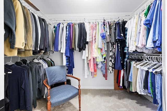 walk in closet featuring carpet floors