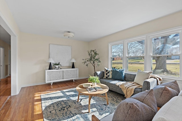 living area featuring baseboards and wood finished floors