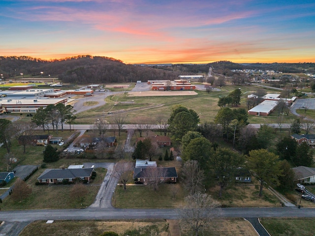 drone / aerial view