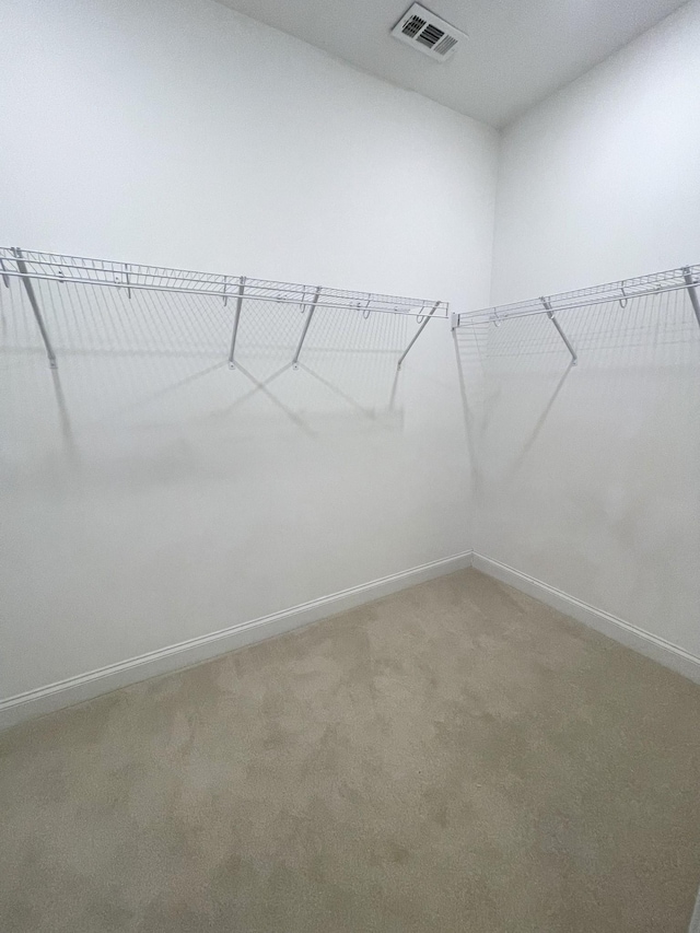 spacious closet featuring carpet and visible vents