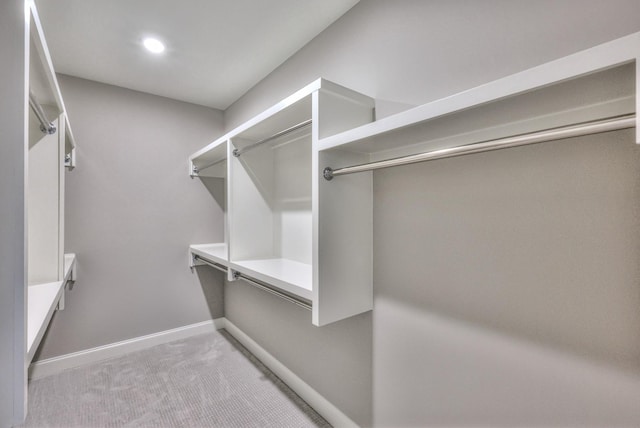 walk in closet featuring carpet flooring