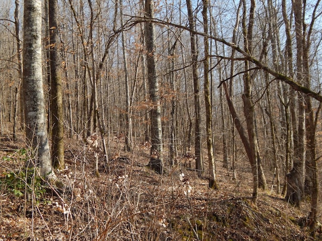 view of local wilderness with a view of trees